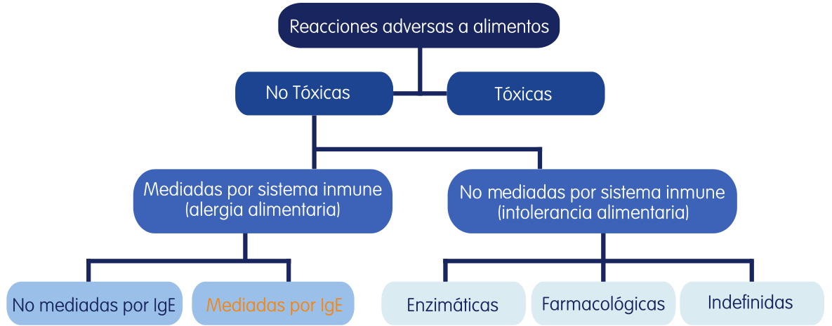 clasificacion-alergias