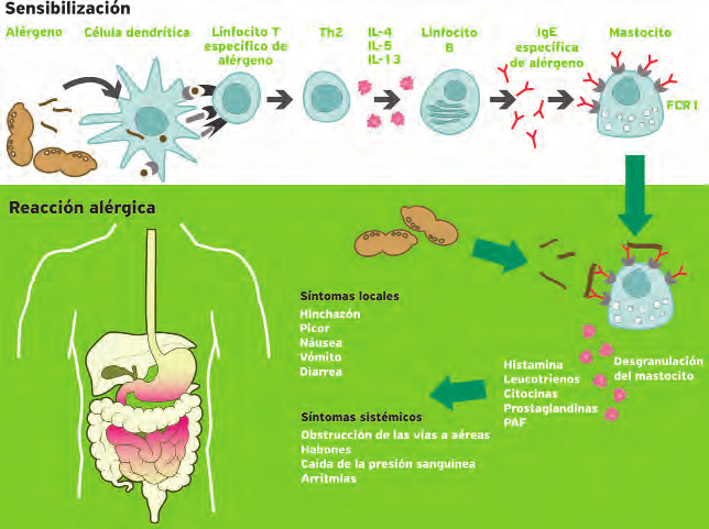 sensibilizacion-1