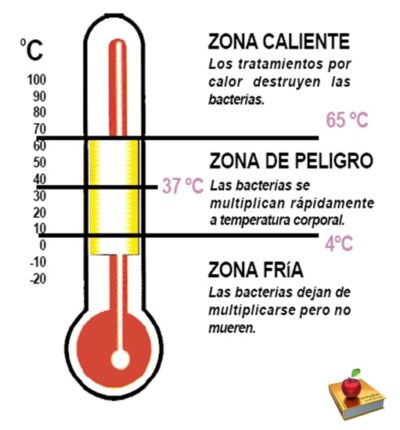 Cómo Debemos Conservar Los Alimentos En Refrigeración. – Formadiet